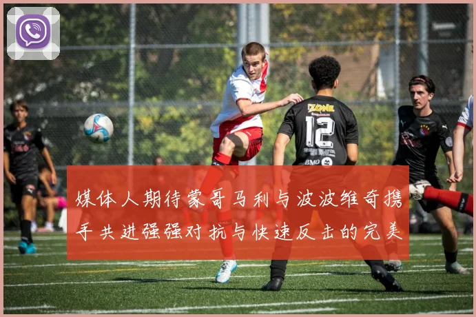 媒体人期待蒙哥马利与波波维奇携手共进强强对抗与快速反击的完美结合