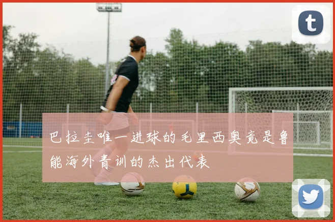 巴拉圭唯一进球的毛里西奥竟是鲁能海外青训的杰出代表