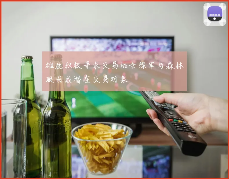 雄鹿积极寻求交易机会绿军与森林狼或成潜在交易对象